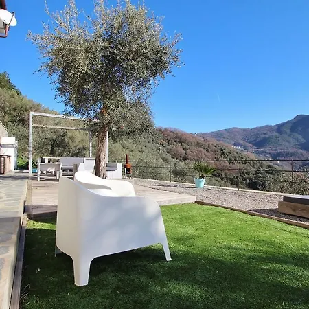 Casale