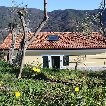 Casale *